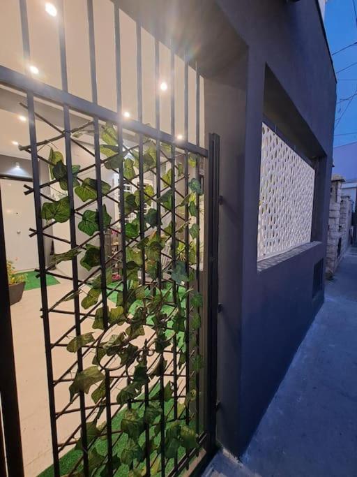 Flower'S House Di Doris Simone باري المظهر الخارجي الصورة